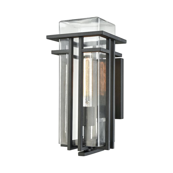 Croftwell 15'' High 1-Light Clear Outdoor Sconce