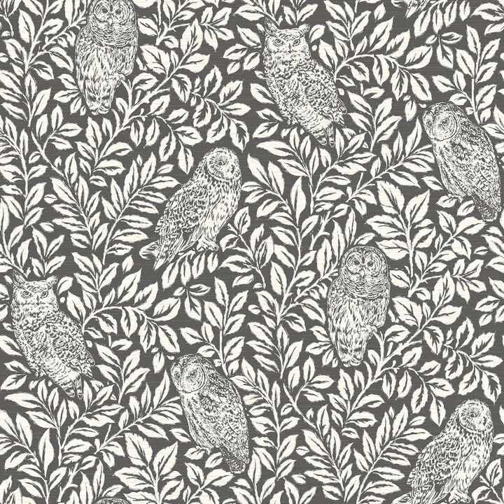 Parliament Brown Owl Wallpaper (Set of 2)