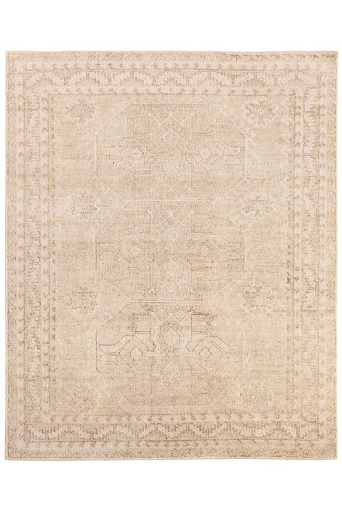 Azad Aires Frosted Almond 9' x 12' Rug