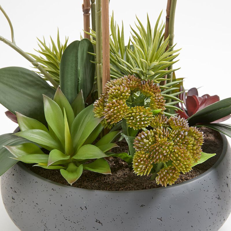 Artificial Orchid with Succulents image number 6