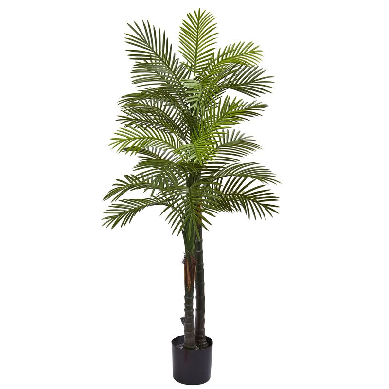 Hivvago 5.5 Feet Double Robellini Palm Tree UV Resistant (Indoor/Outdoor)