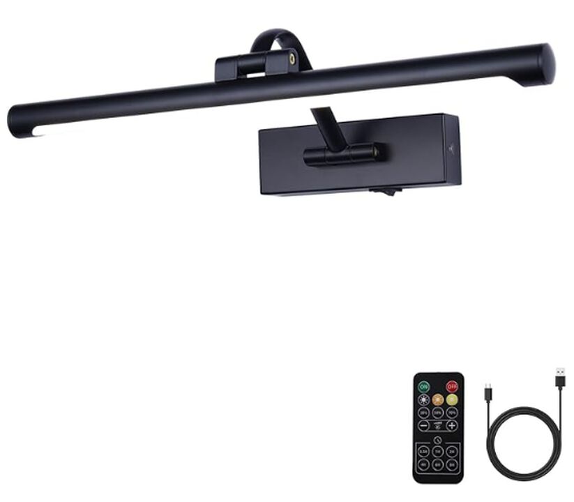 Picture Light Black