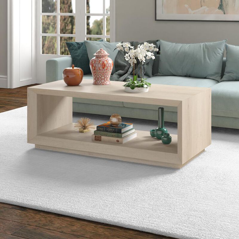 Hudson&Canal Tannen 48 Wide Rectangular Coffee Table in Alder White