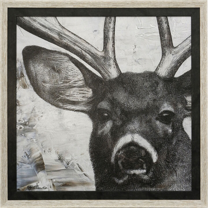 Deer Portrait Framed Print