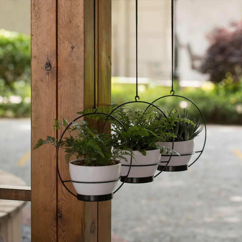 Decorative Metal Hanging Planter with Tree Pots for Flowers, White and Black