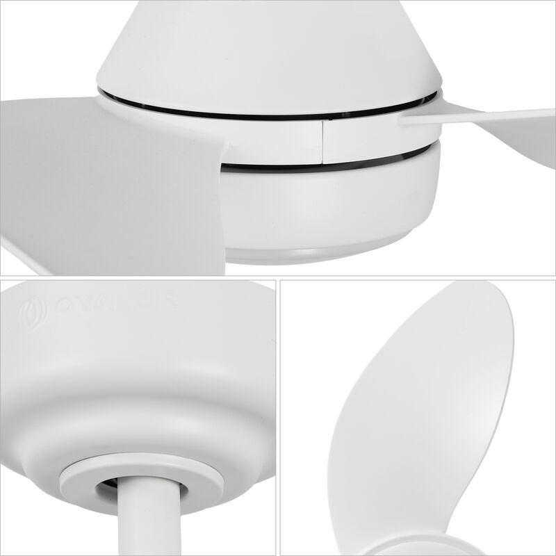 Albini 22" Contemporary Minimalist 6-Speed Metal Mobile-App/Remote-Controlled Dimmable Smart Integrated LED Ceiling Fan