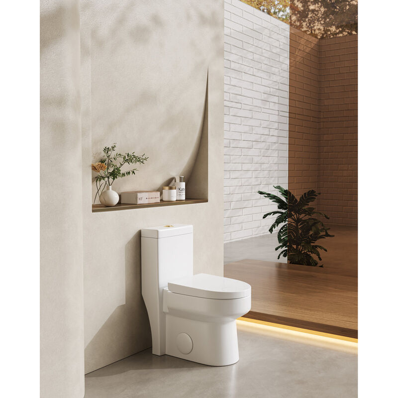 Bothwa Home 28.94" H Golden Flush Button 1.1/1.6 GPF Comfort Height Classic Water-Saving Super Quite Flushing Floor Mounted One-Piece Toilet, Soft Close image number 5