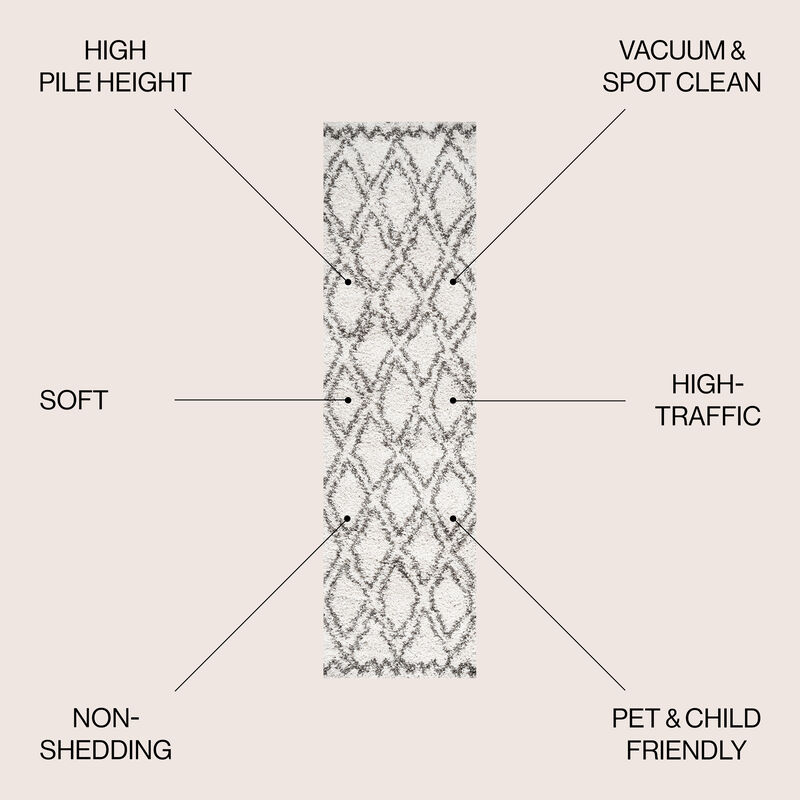 Soller Diamond Trellis Shag Area Rug