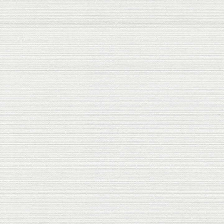 MacLise White Texture Paintable Wallpaper
