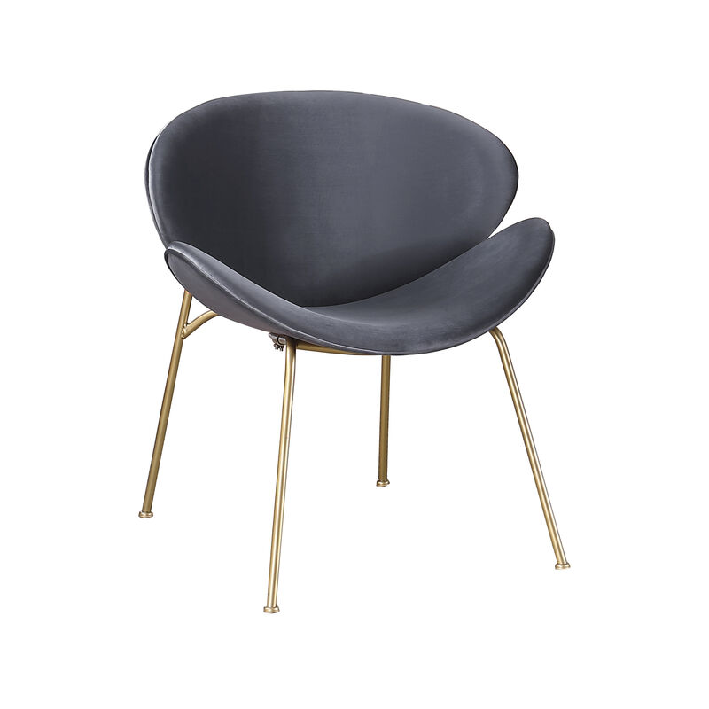 Velvet Dining Chairs, Upholstered Living Room Chairs with Gold Metal Legs