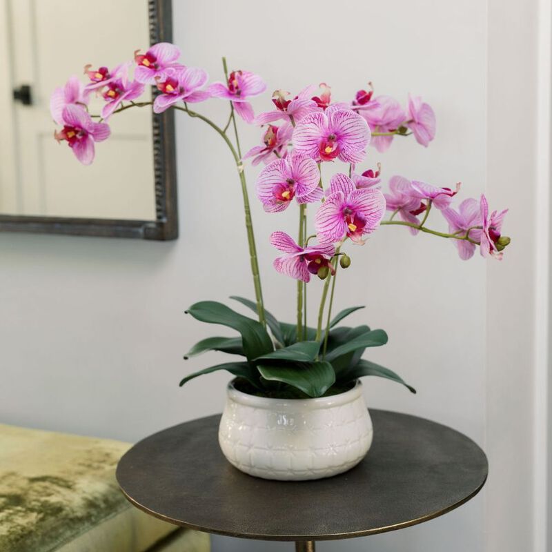 23" Phale Orchid image number 3