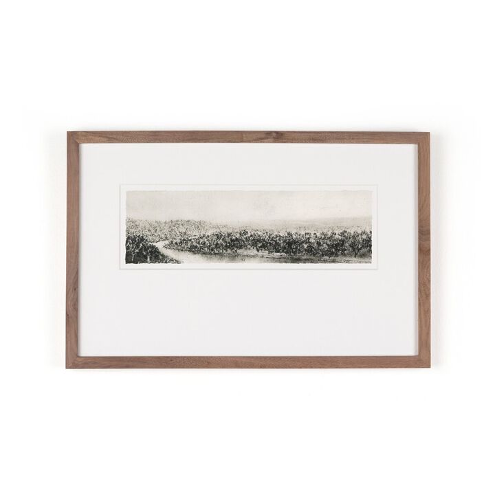Hill Country Study II by Aileen Fitzgerald
