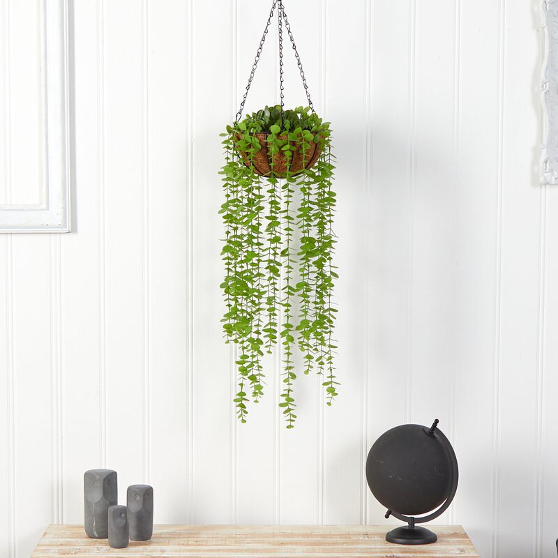 HomPlanti 3" Eucalyptus Artificial Plant in Hanging Basket