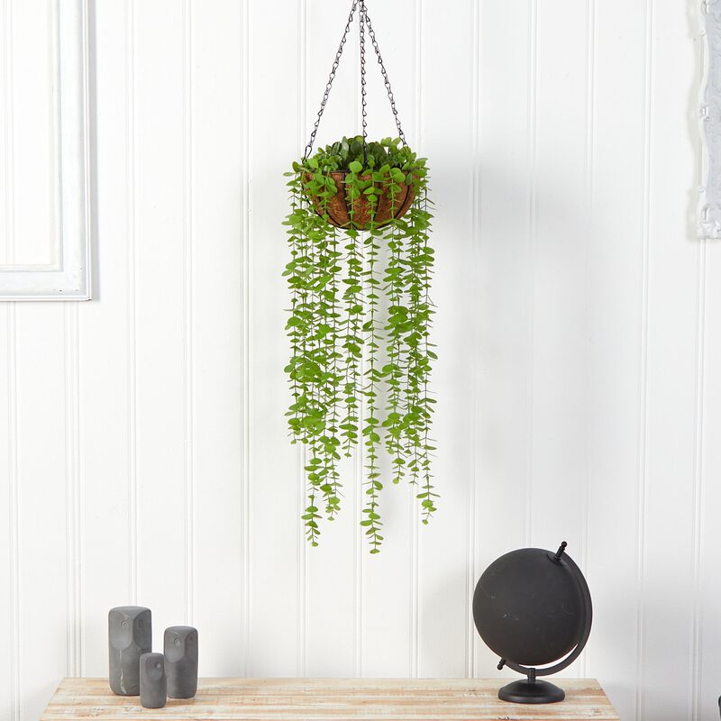 Hivvago 3" Eucalyptus Artificial Plant in Hanging Basket