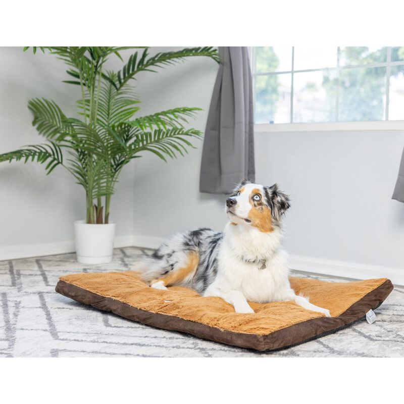 Aeromark Int'l Inc.Armarkat Brown Pet Bed, 47-Inch by 36-Inch by 5-Inch