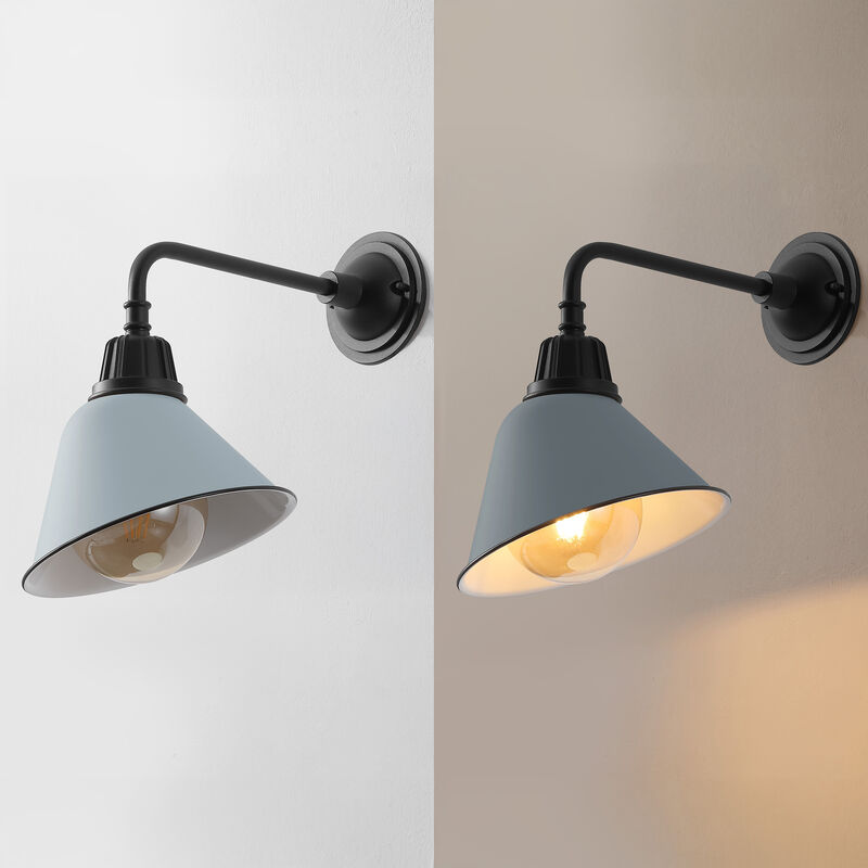 Croydon Farmhouse Industrial Indoor/Outdoor Iron LED Gooseneck Arm Outdoor Sconce