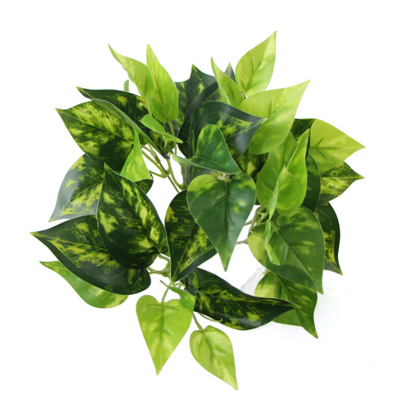 Artificial Pothos / Devil's Ivy Bush 9.5 image number 1