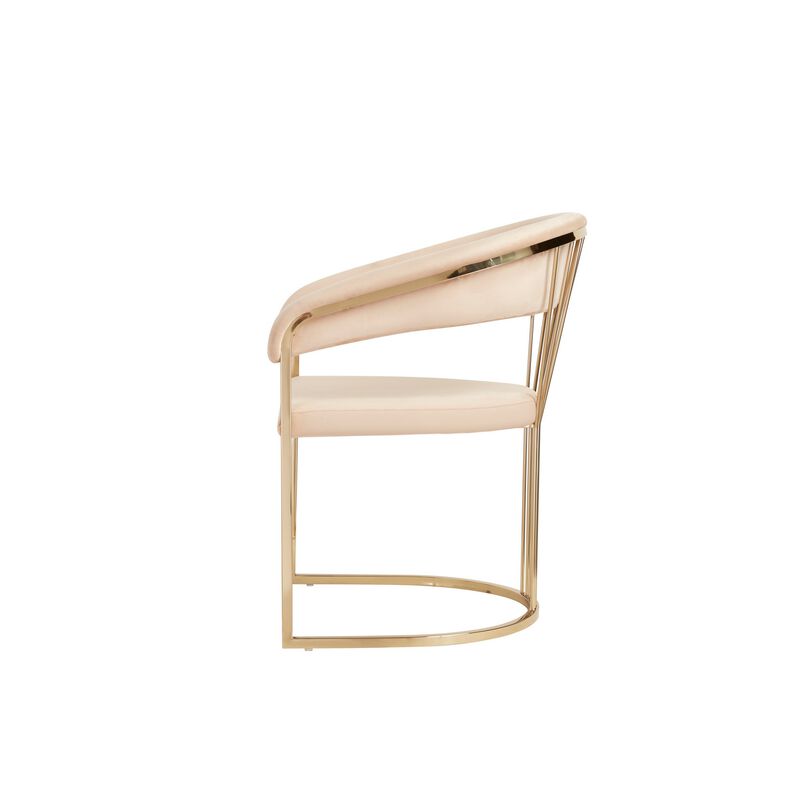 24 Inch Modern Dining Chair, Beige Velvet Seat Gold Cantilever Windsor Base - Benzara image number 2