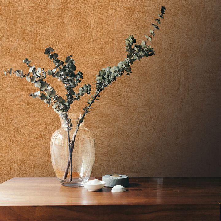 Pampas Plain Brushed Texture Wallpaper