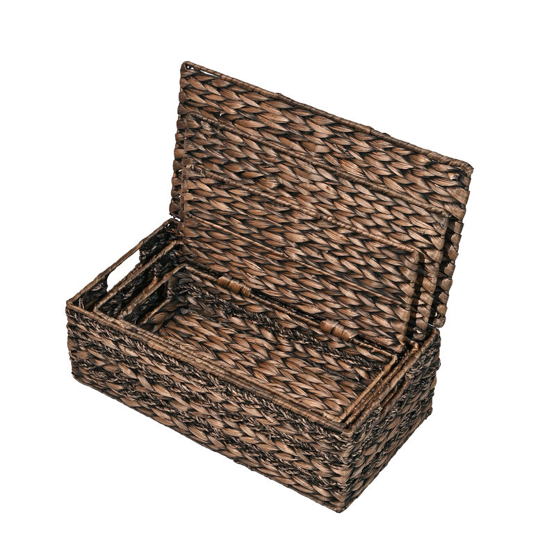 Sandrine Classic Farmhouse Handwoven Hyacinth Storage Baskets with Handles and Lids