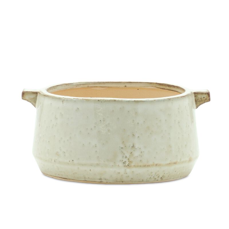 Charming Bowl Planter for Stylish Indoor and Outdoor Plant Display