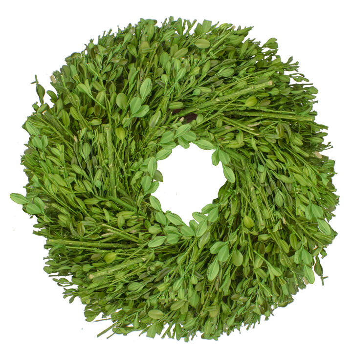 Green Foliage Artificial Spring Wreath  10-Inch