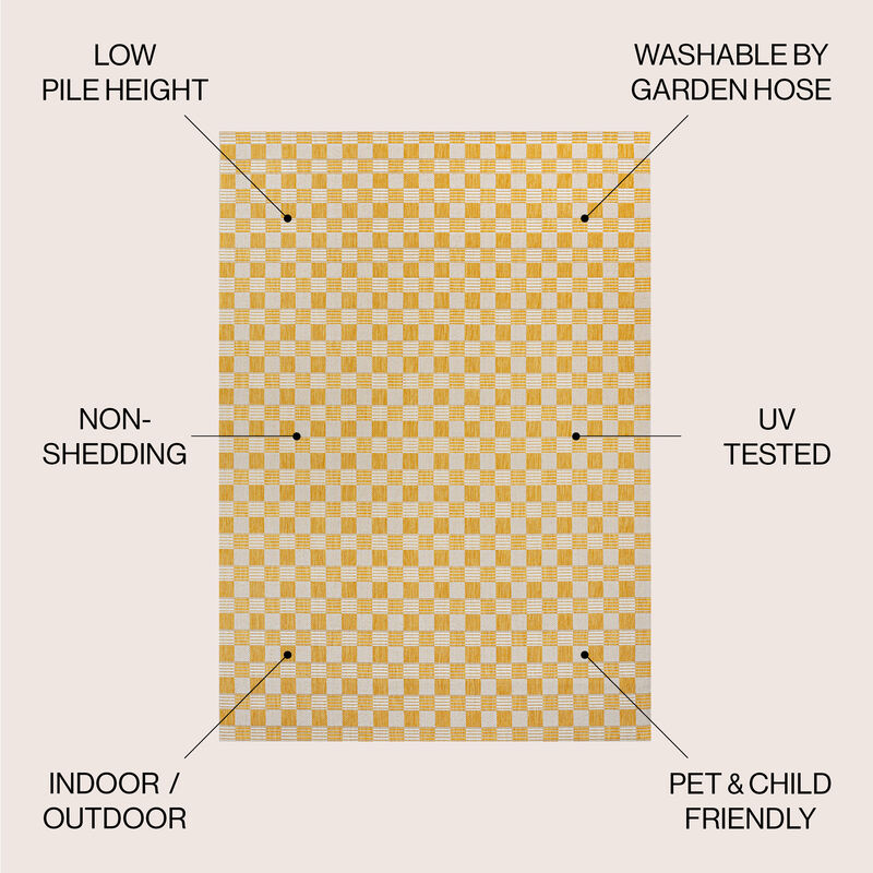 Aimee Traditional Cottage Checkerboard Indoor/Outdoor Area Rug