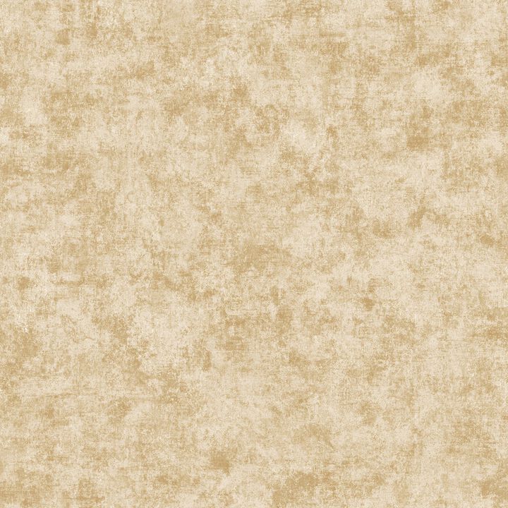 Elegance Metallic Plaster Gold Wallpaper AM22009-2