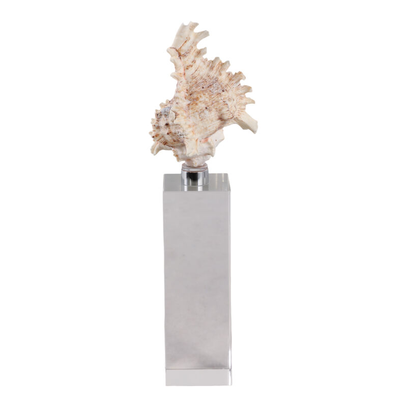 Shell on Crystal Base image number 3