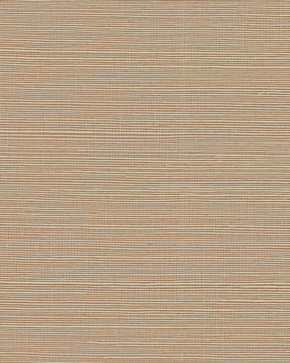 Maguey Sisal Adobe Wallpaper