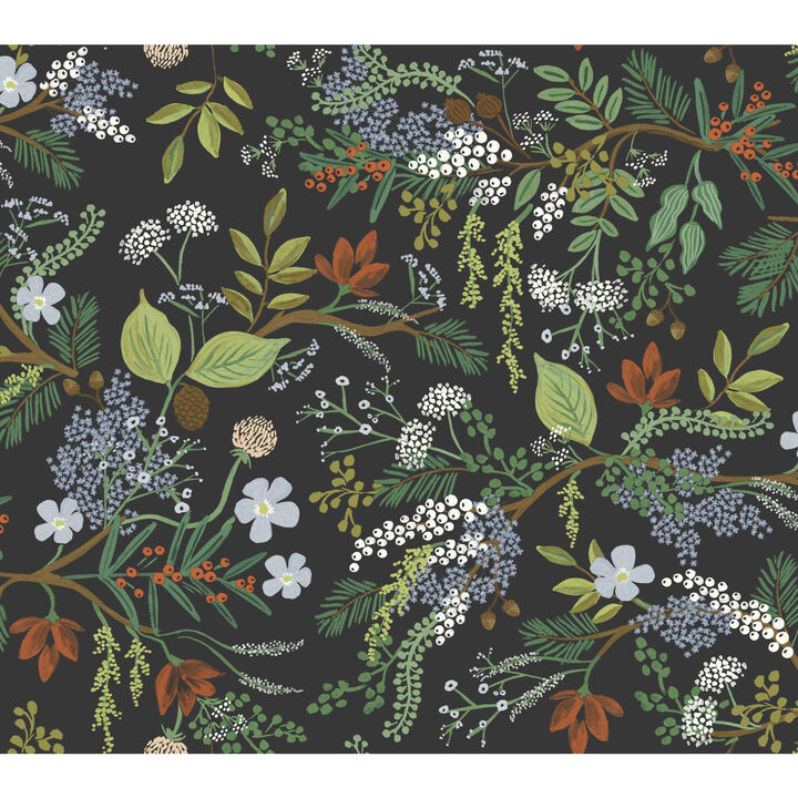 Juniper Forest Black Wallpaper