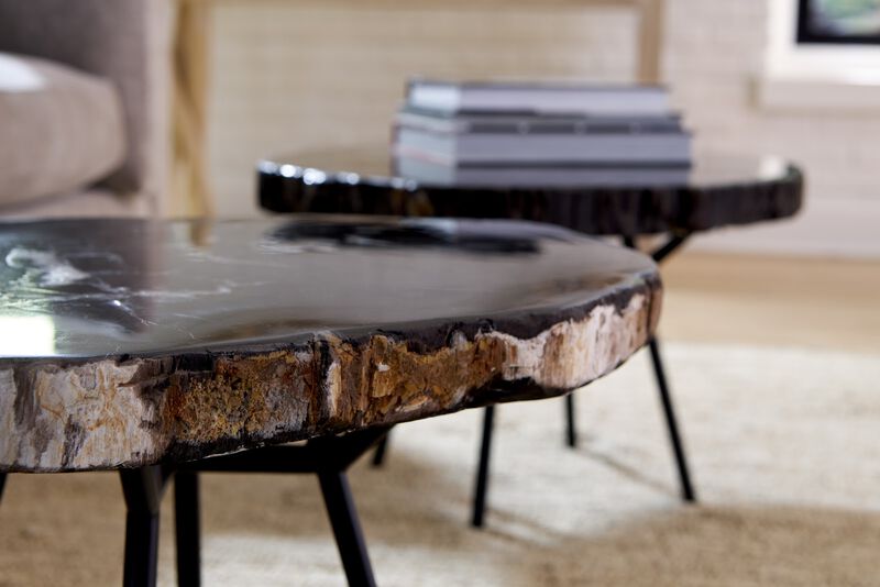 Petrified Coffee Table