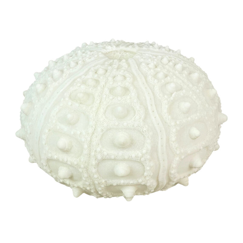 Coastal Sea Urchin Lamp, 12" Resin Sculpture with Warm Glow, Decorative Accent image number 0