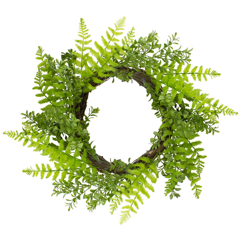 Fern Leaf Artificial Springtime Wreath  Green - 18-Inch image number 0
