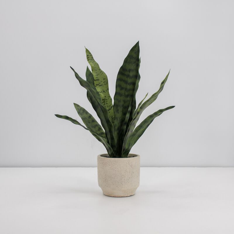 16" Faux Snake Plant & Fern Set image number 2