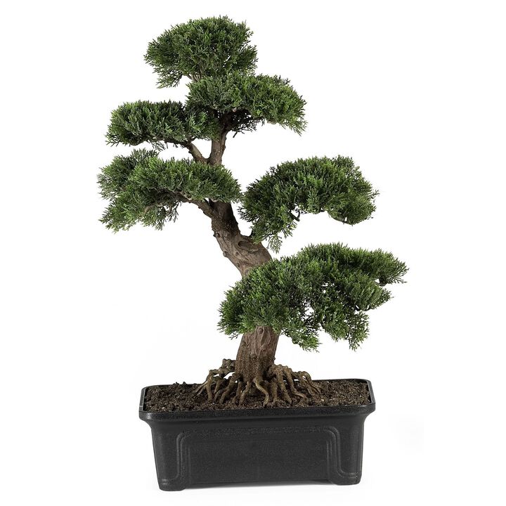 Nearly Natural 2-ft Cedar Bonsai Tree