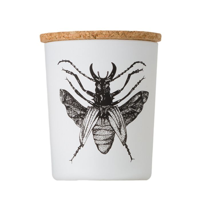 Candle in Jar INSECT 75gr DORYSTHENES WALKERI 2.36 diam. x 2.95 in