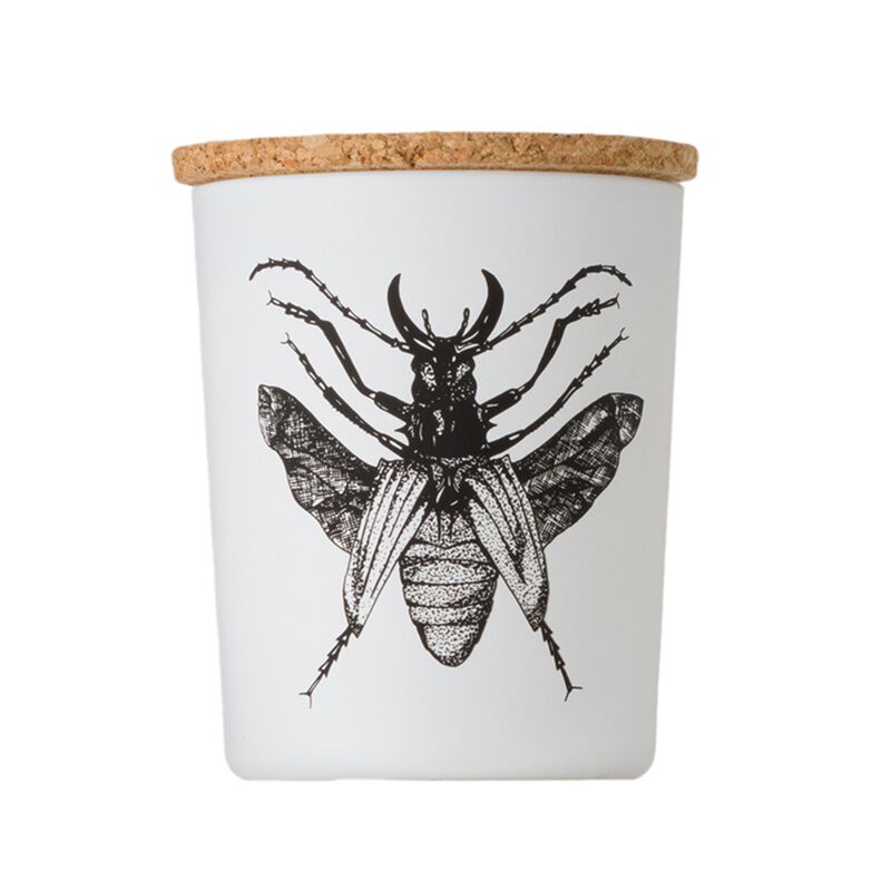 Candle in Jar INSECT 75gr DORYSTHENES WALKERI 2.36 diam. x 2.95 in image number 1