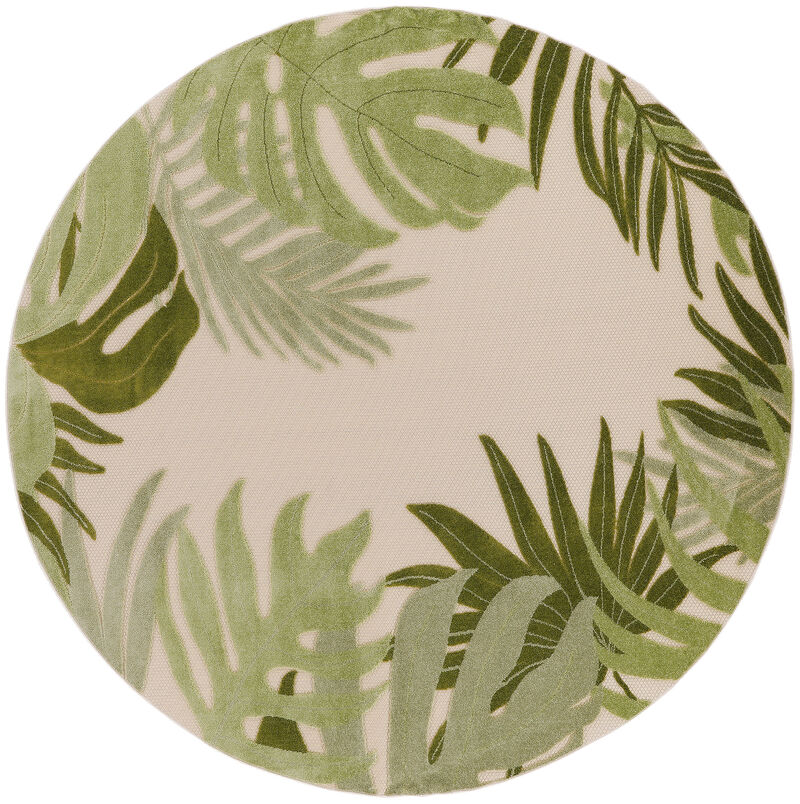 HomeRoots 5' Ivory And Green Round Palm Leaf Indoor Outdoor Area Rug image number 2