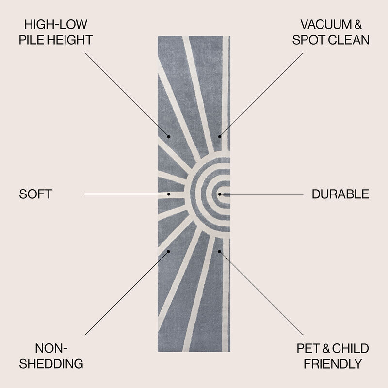 Aelius MidCentury Scandinavian Abstract Sun Two-Tone High-Low Area Rug