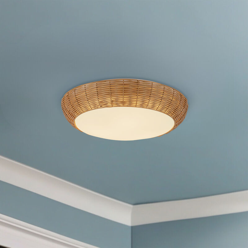 Merida 17 in Socket Flush Mount image number 4