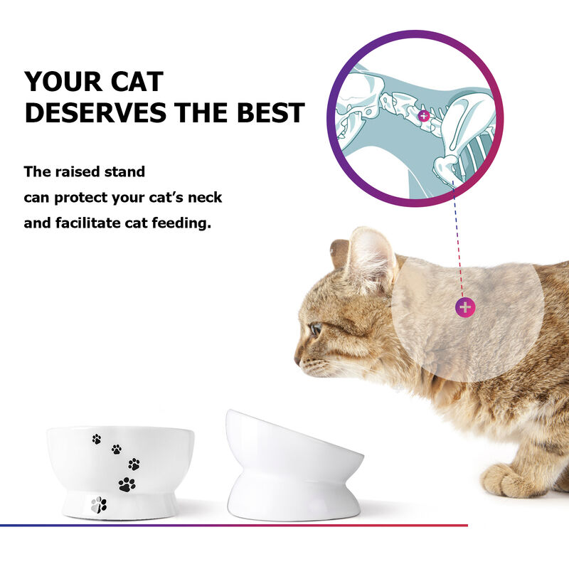 Y YHY Raised Cat Food and Water Bowl Set, Tilted Elevated Cat Food Bowls No Spill, Ceramic Cat Food Feeder Bowl Collection, Pet Bowl for Flat, Set of 2, White