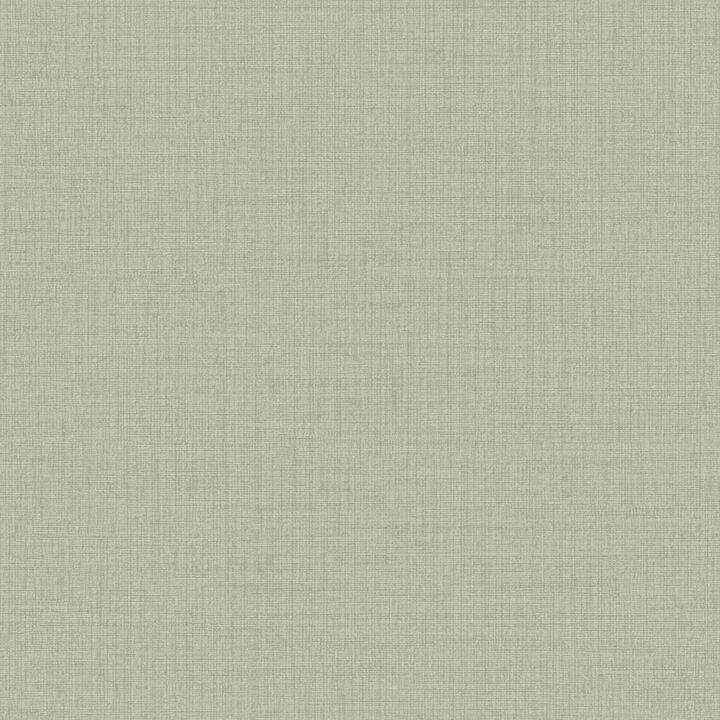 Little Dreamers Textile Plain Green Wallpaper GDIC1013