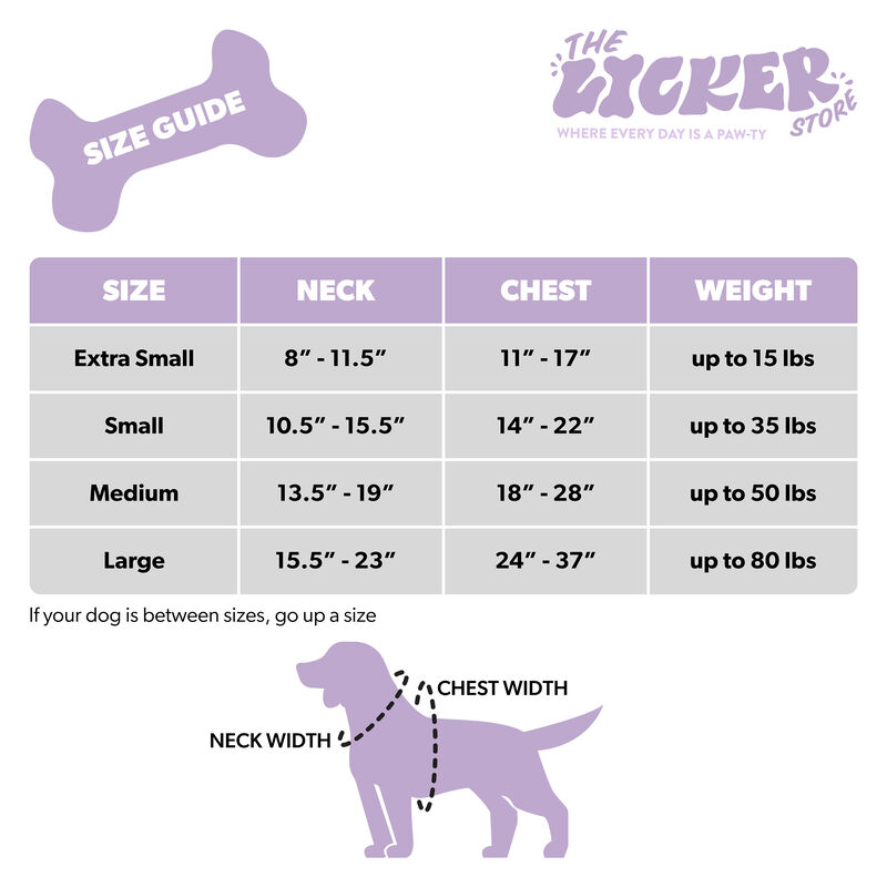 Arlo Adjustable Soft Padded No Pull Pet Harness with 3 Buckles and 3 Leash Clips