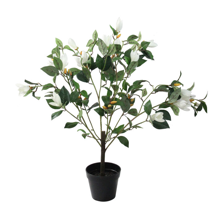 32.5" White and Black Potted Artificial Lily Magnolia Flowering Tree