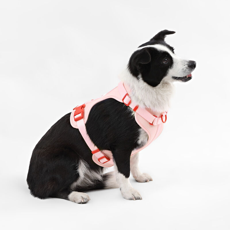 Arlo Adjustable Soft Padded No Pull Pet Harness with 3 Buckles and 3 Leash Clips