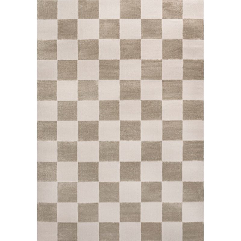 Thea Modern Geometric Checkerboard High-Low Area Rug.