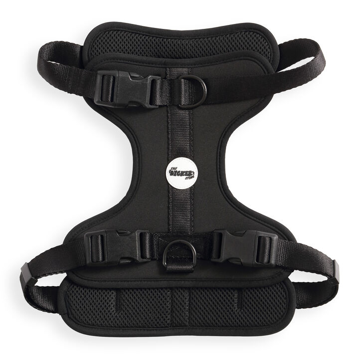 Arlo Adjustable Soft Padded No Pull Pet Harness with 3 Buckles and 3 Leash Clips