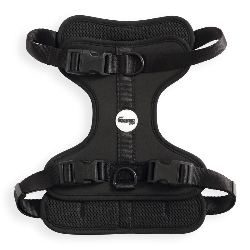 Arlo Adjustable Soft Padded No Pull Pet Harness with 3 Buckles and 3 Leash Clips