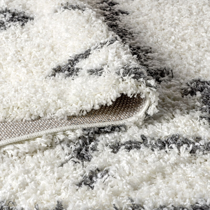 Mercer Shag Plush Tassel Moroccan Tribal Geometric Trellis Area Rug